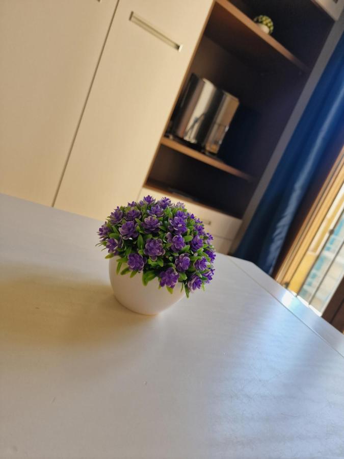 Estudio En Centro De Alicante Apartment ภายนอก รูปภาพ
